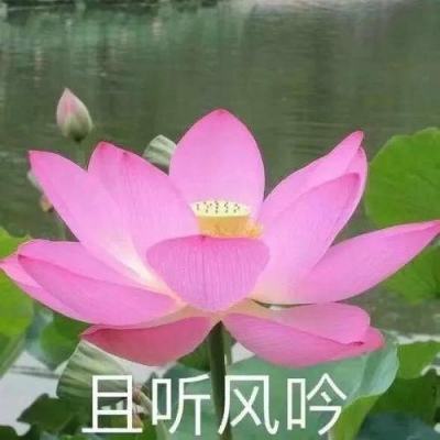 华体汇官网下载app